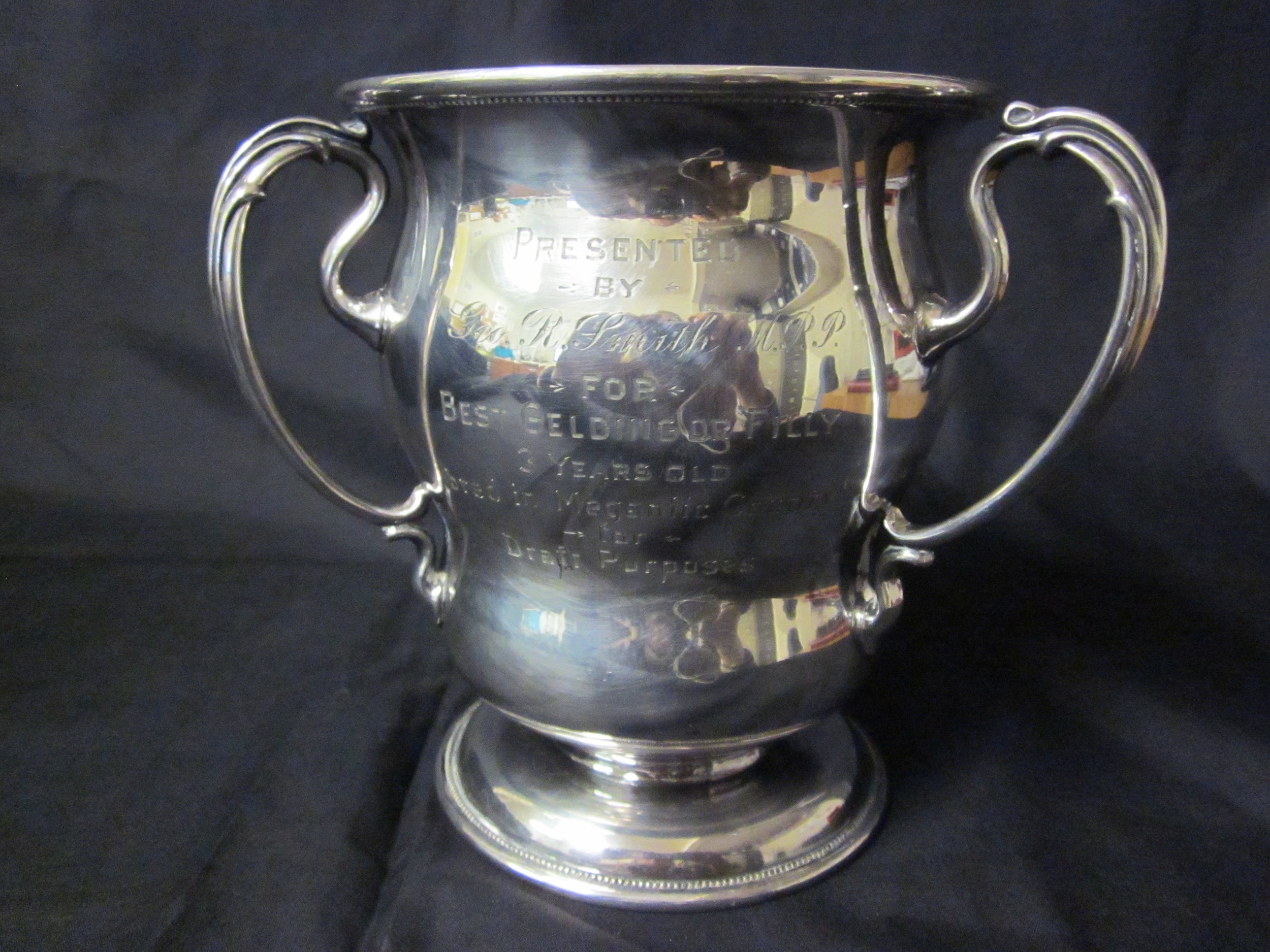 Silver Loving Cup