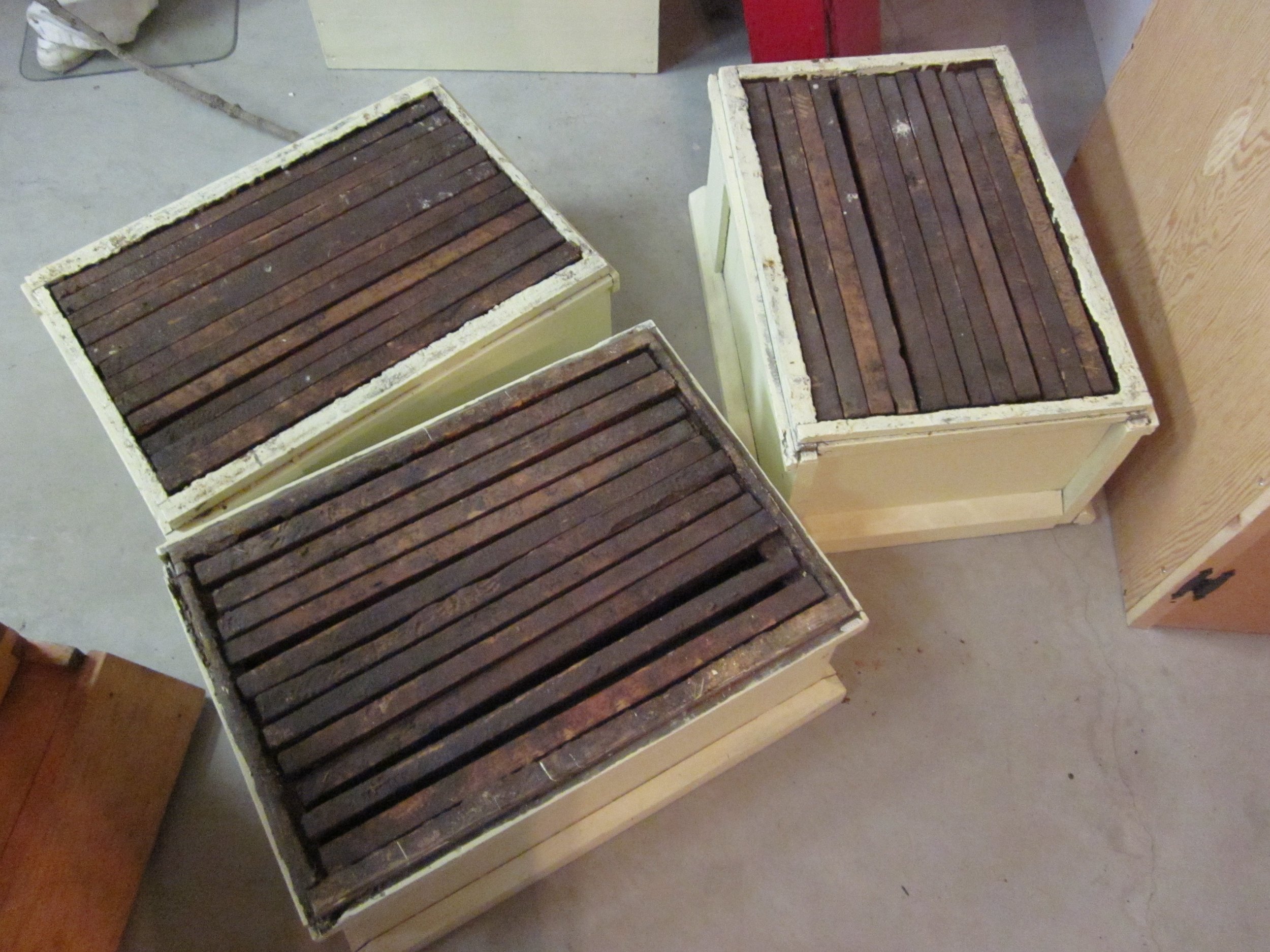 Interior of Langstroth Hive