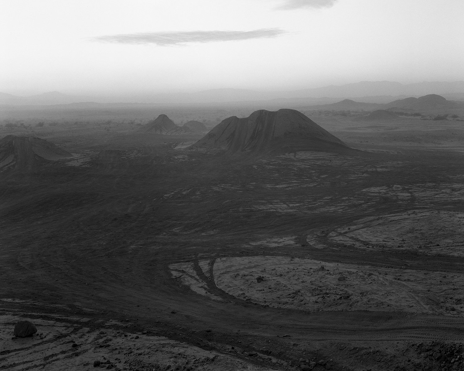 More Ocotillo03.jpg