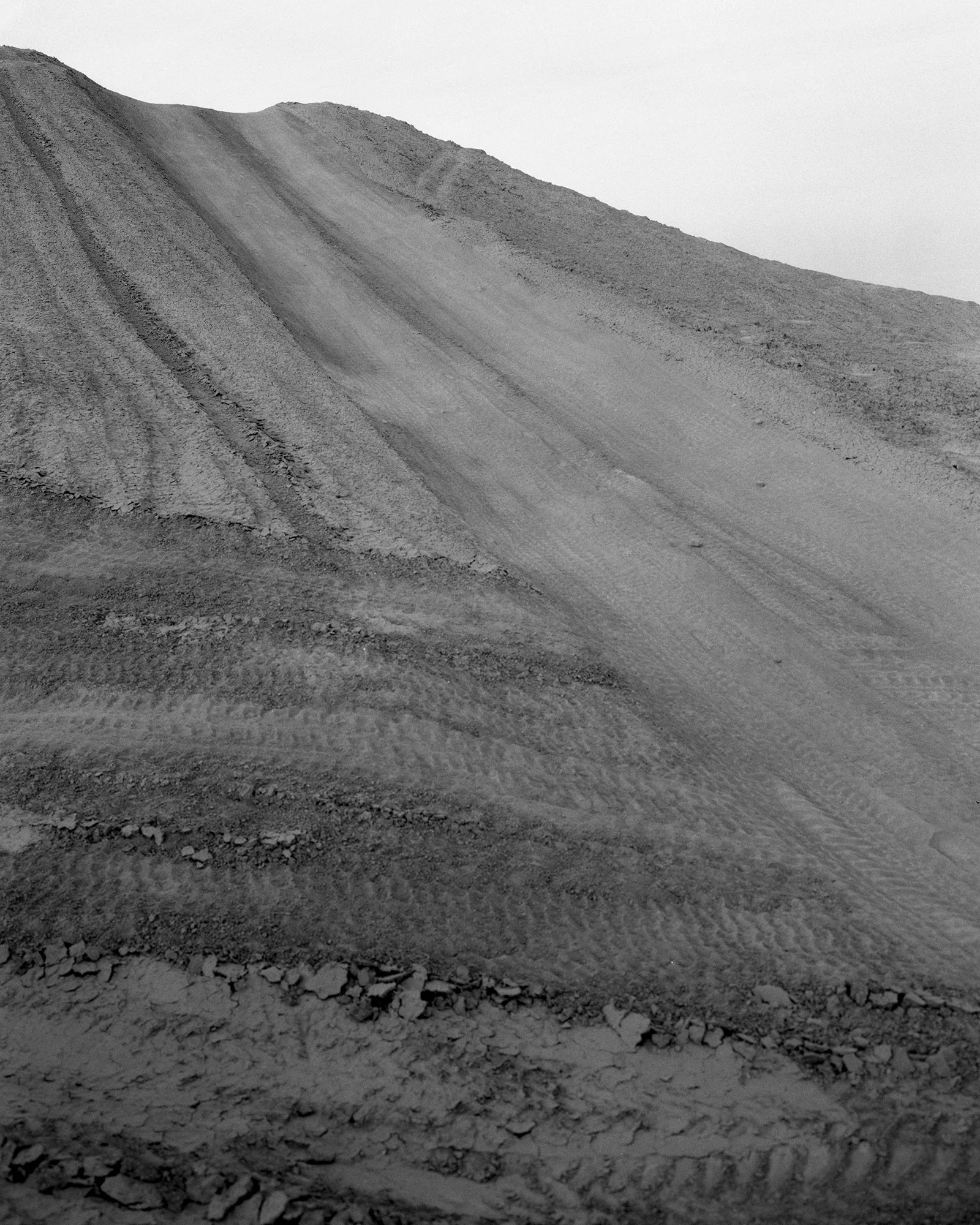 Octollio Again02.jpg