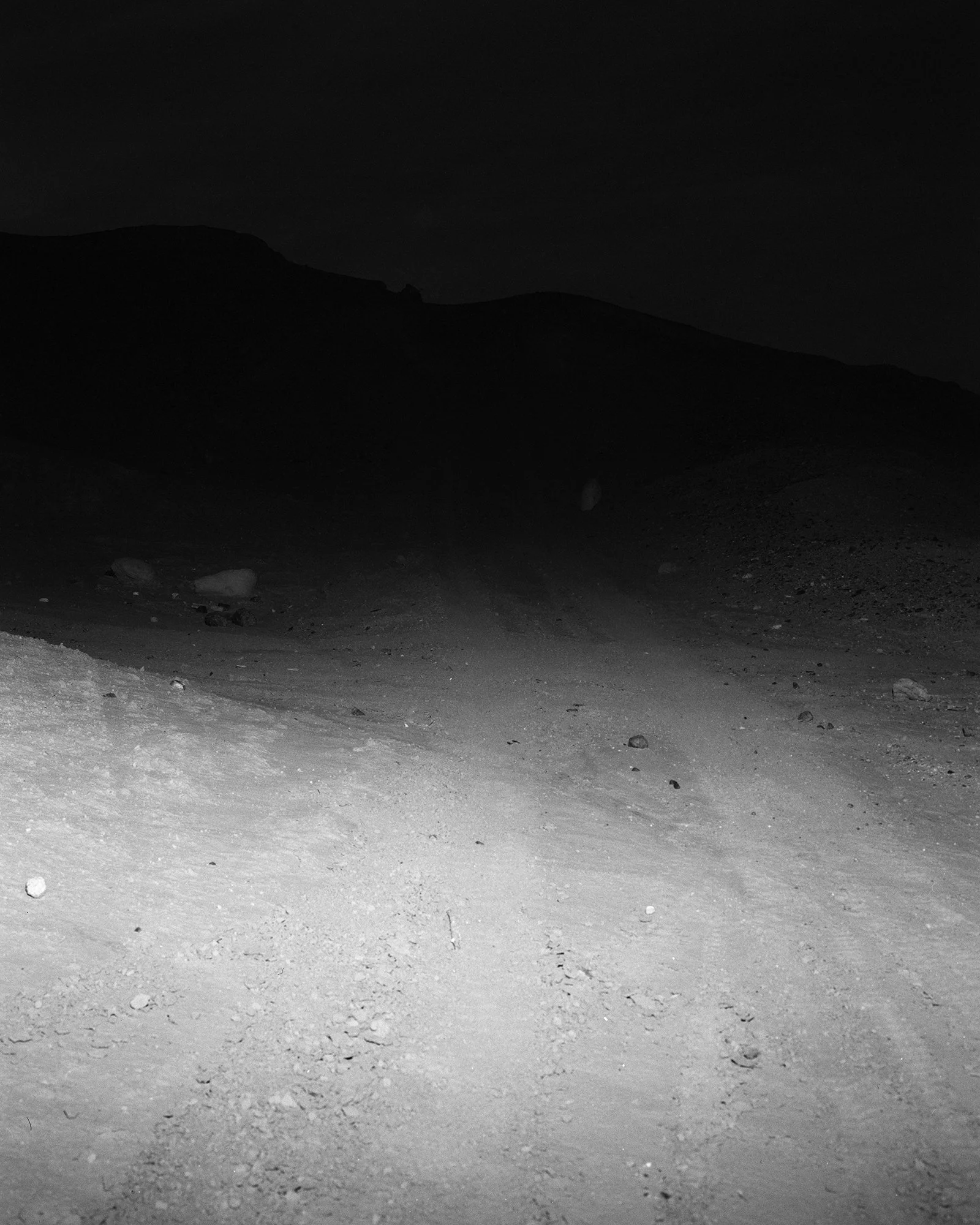 Octollio Again06.jpg