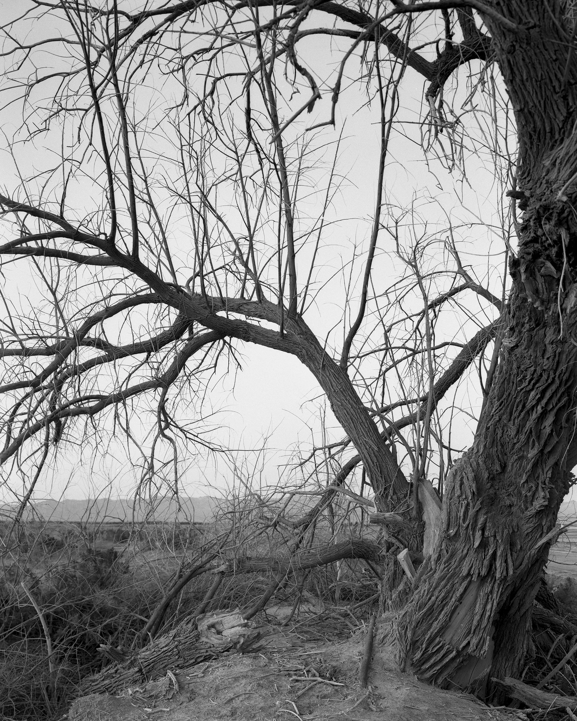 South Salton Sea Area13.jpg