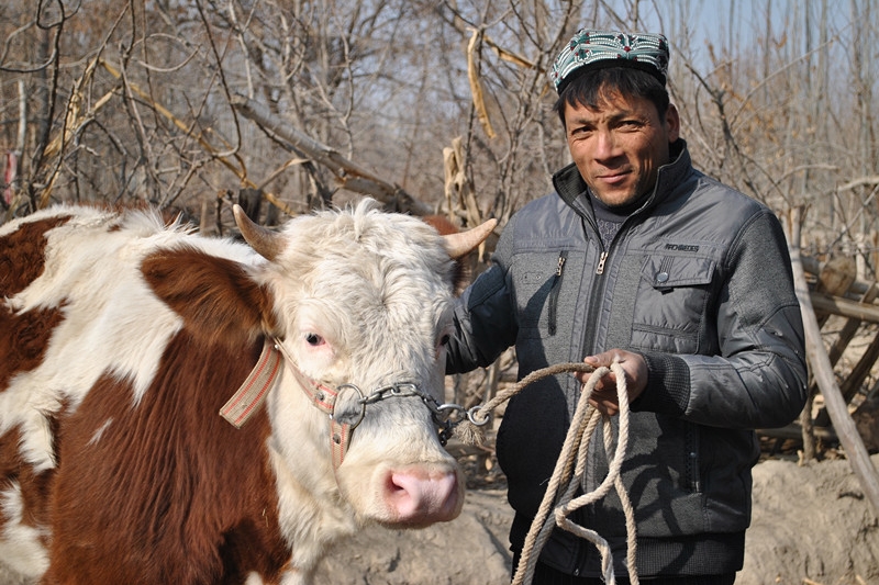 Heifer $500
