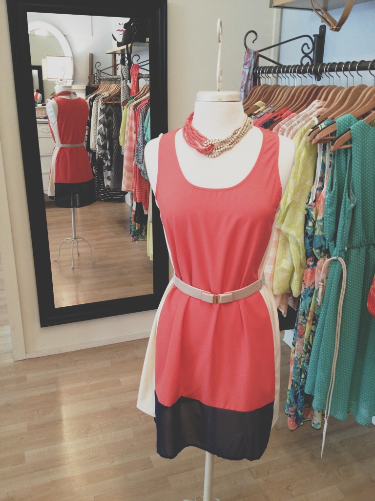 Coral/Camel/Navy Color Block Dress