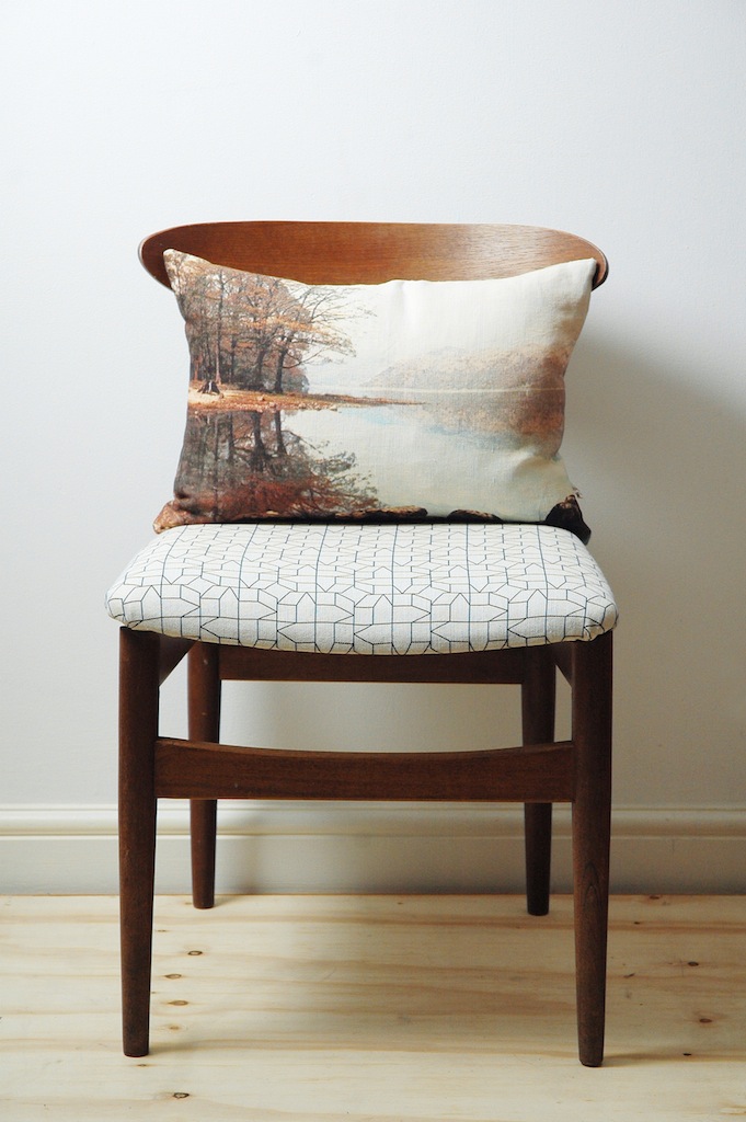 casas chair_red lake cushion.jpg