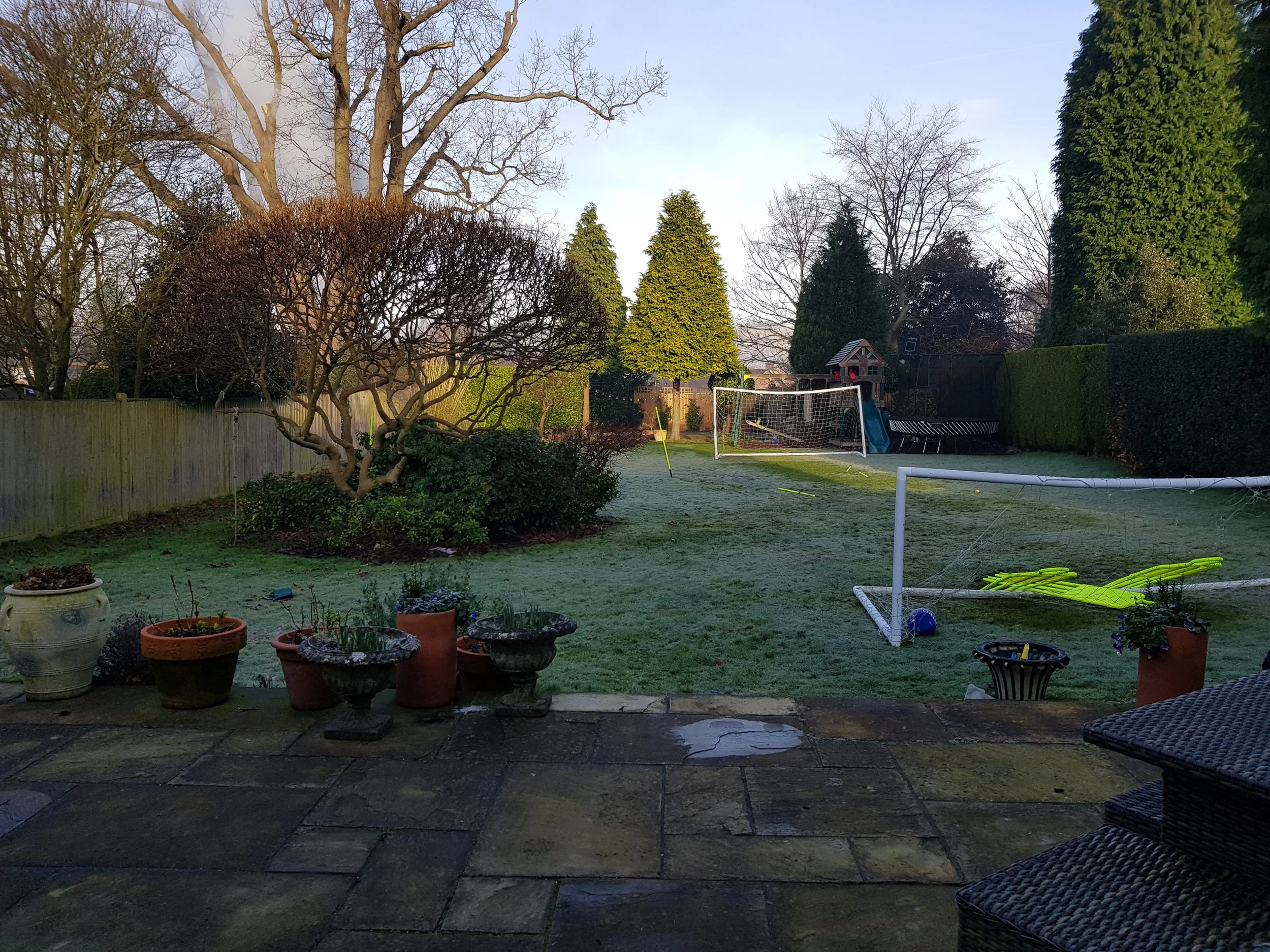The existing view from the terrace out on to the rear garden with some wayward shrubs under the Magnolia tree that needed to go