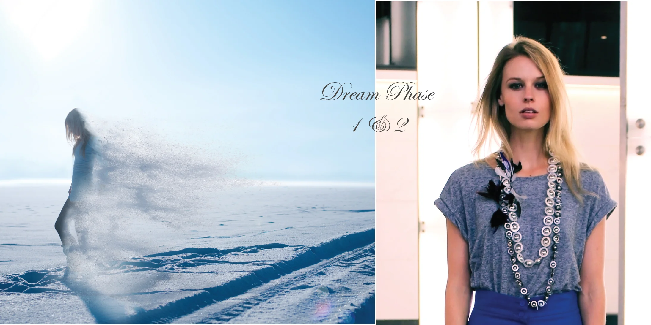 Dream Phase Landing Page with Title.jpg