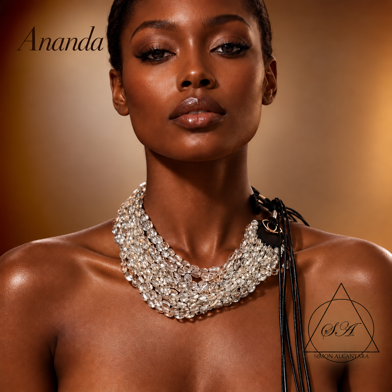 ANANDA CAMPAIGN PAGE .png