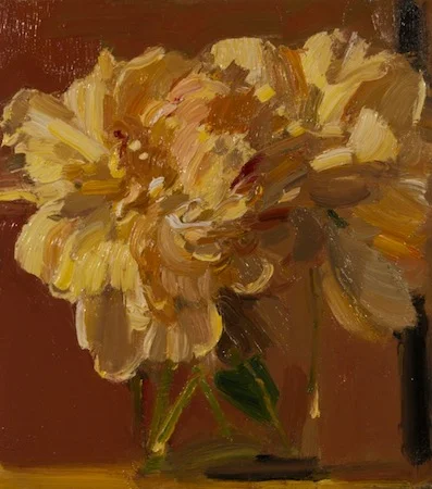 peonies and black stripe 2012