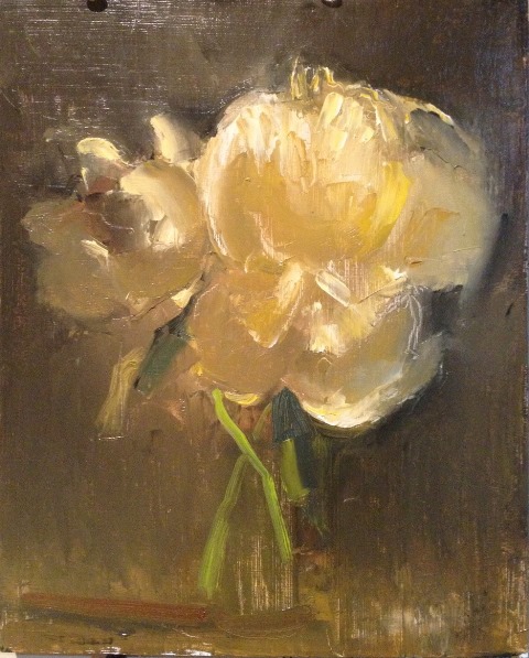schneiderlitpeony.jpg