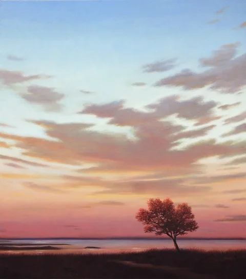 antelope sky .9