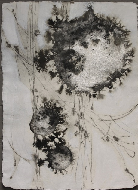 REALoud+as+Hush+VIII-22x30-ink,+acrylic,+powdered+graphite-2014.jpg