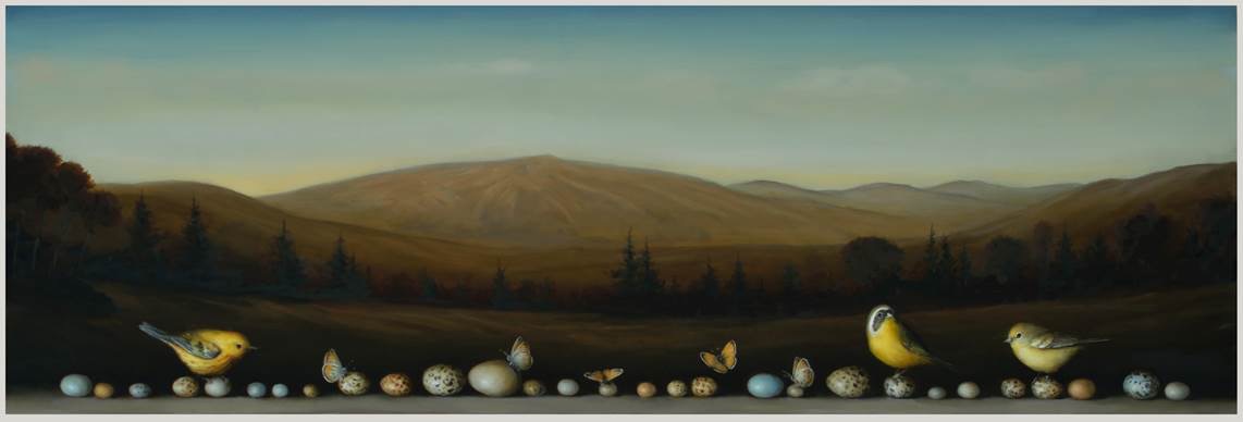 david kroll