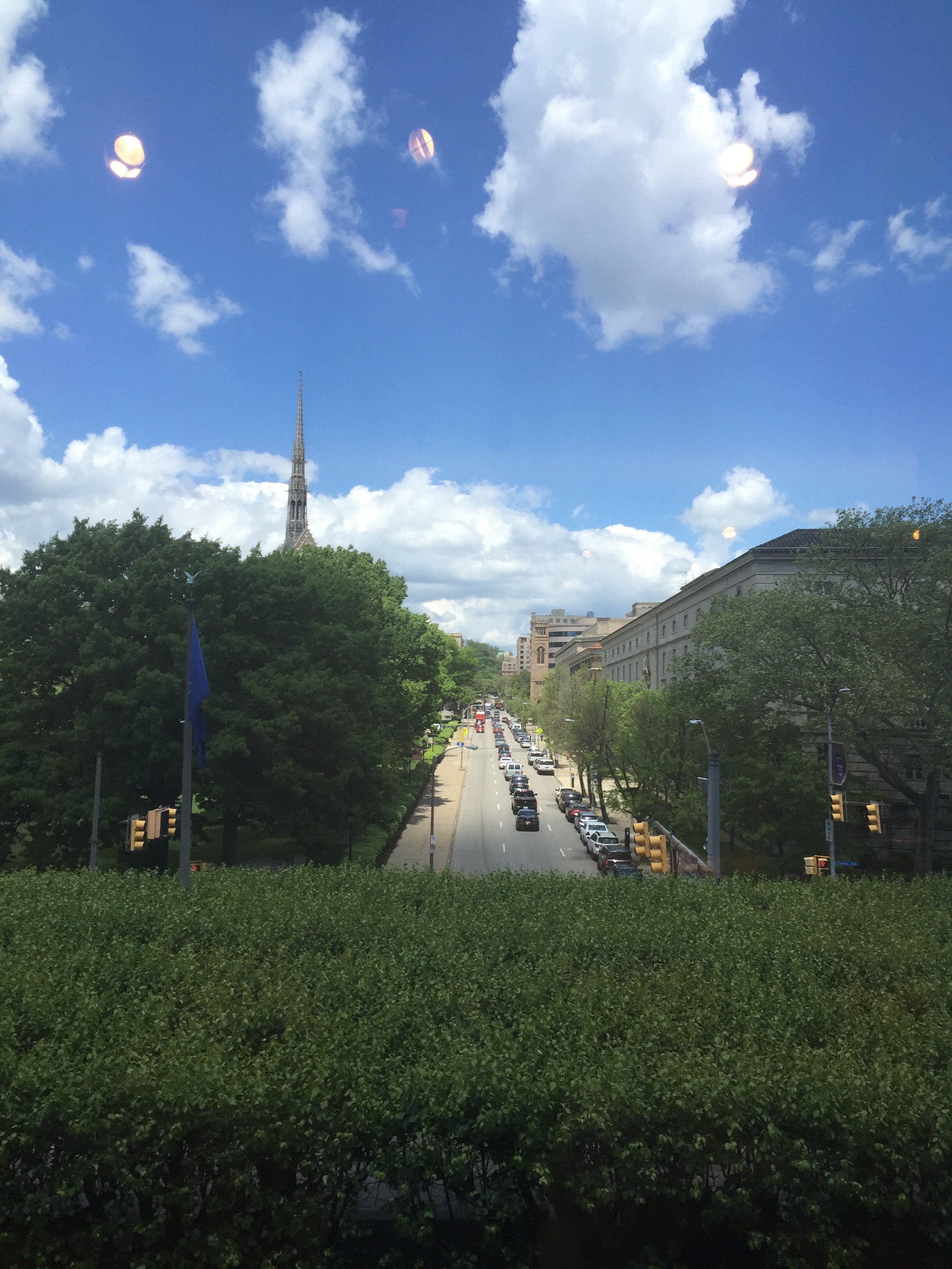 beautiful view from inside the carnegie mellon museum of art