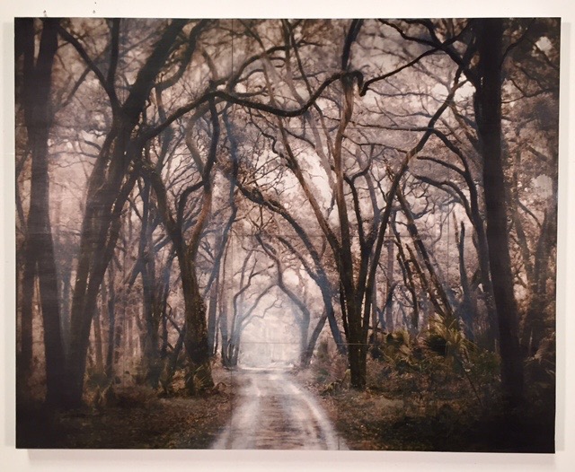 john folsom