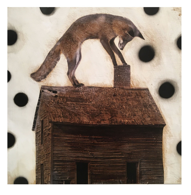 foxhouse 2016