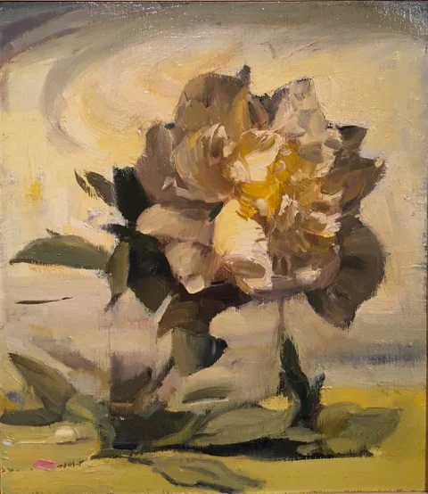 white peony, leaves on white 2016