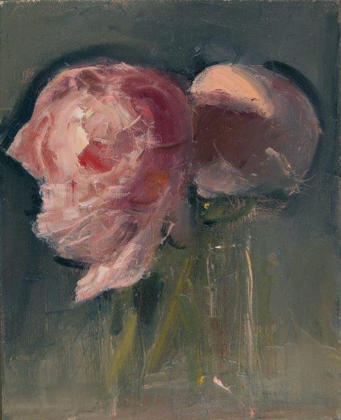 schneiderpinkpeonies.jpg