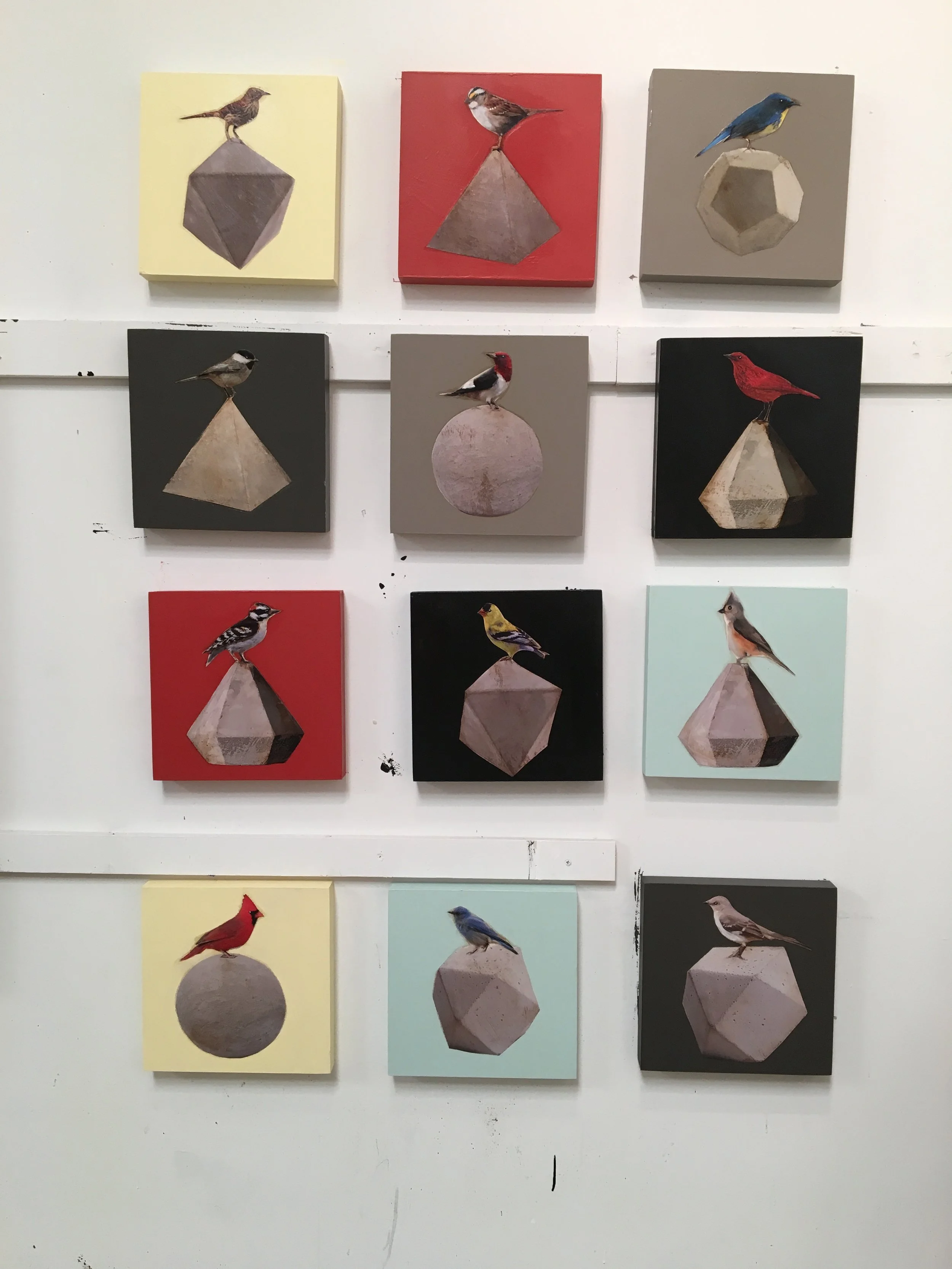 birdie 1-12