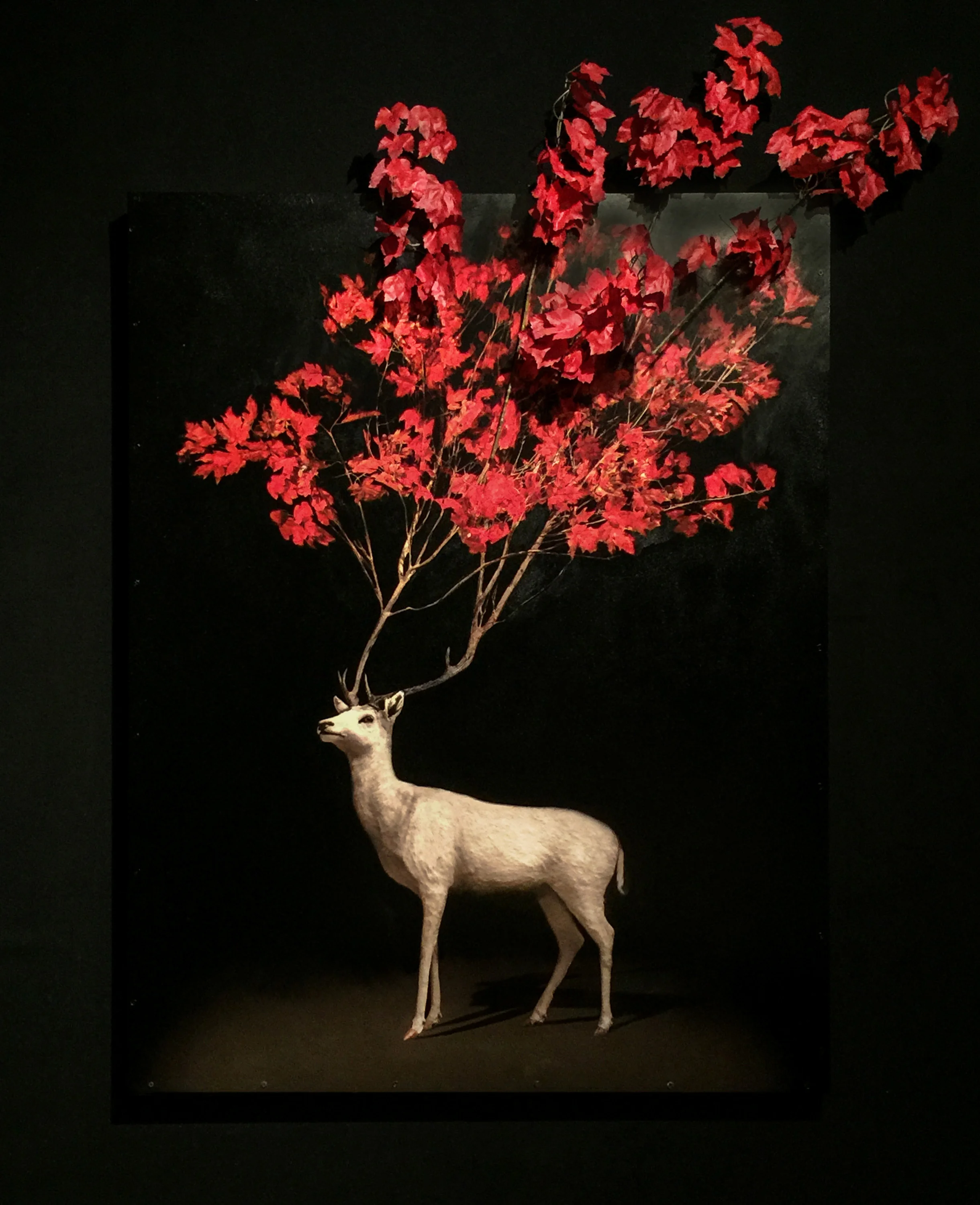 stag with scarlet leaves