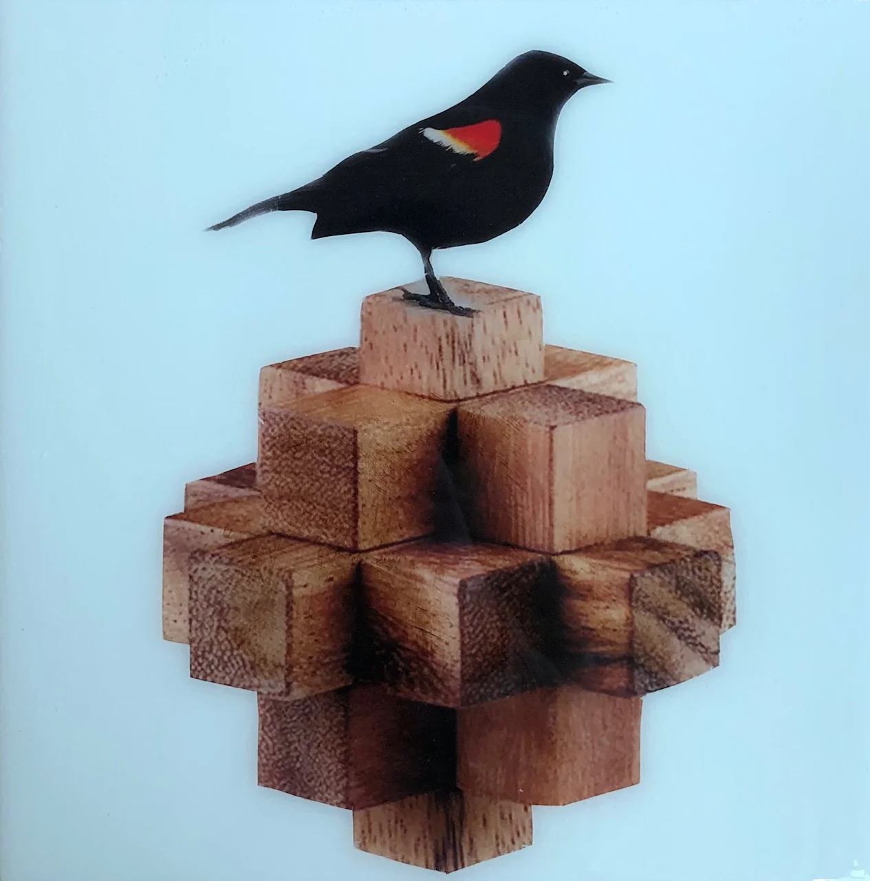birdy II 2018