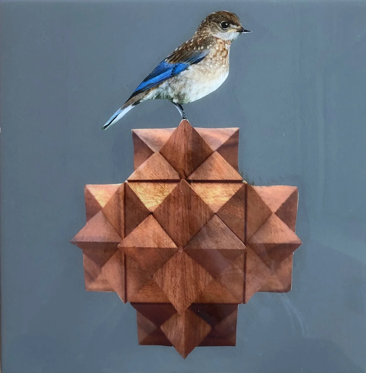 birdy III 2018