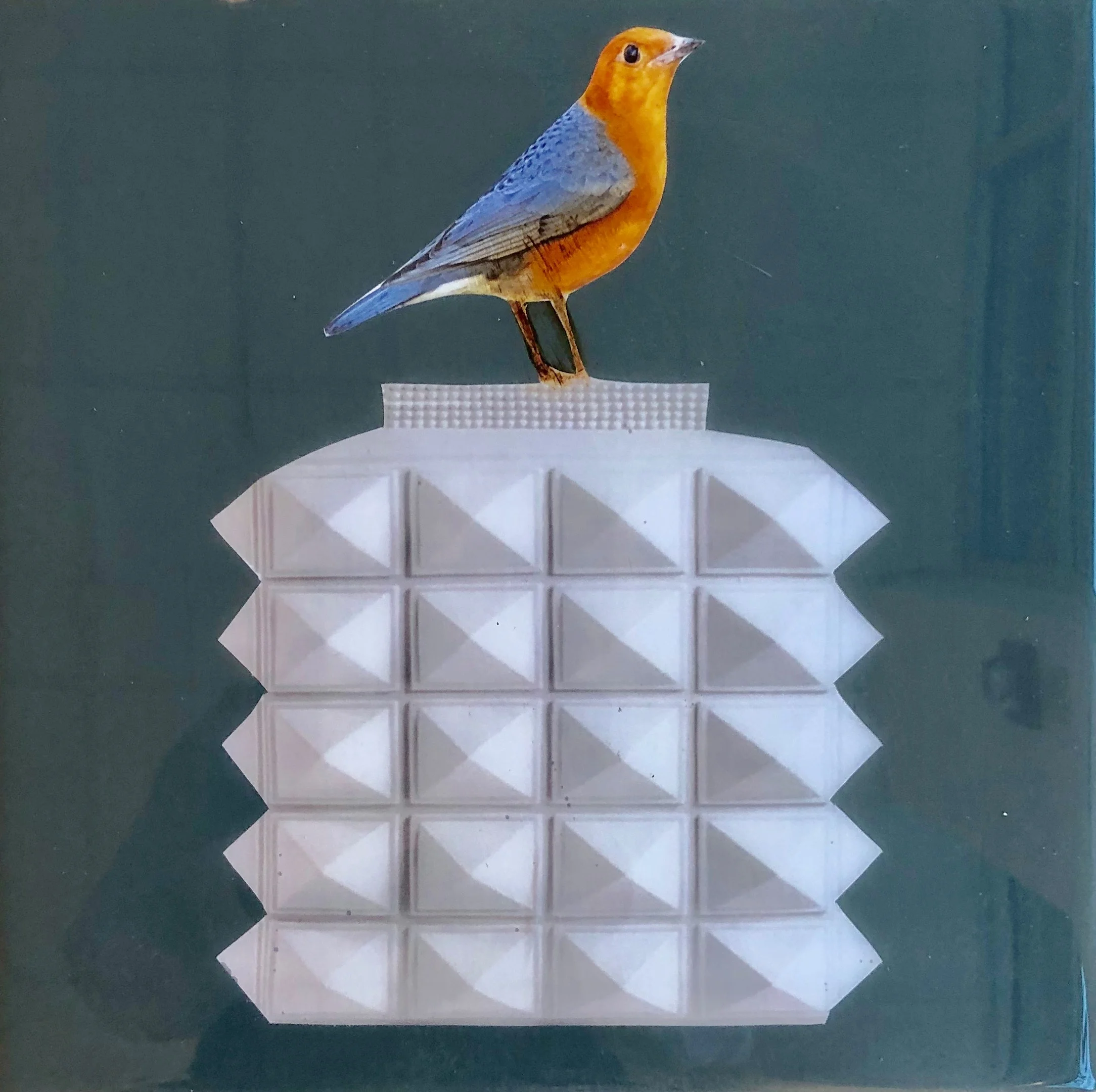 birdy 10 2019