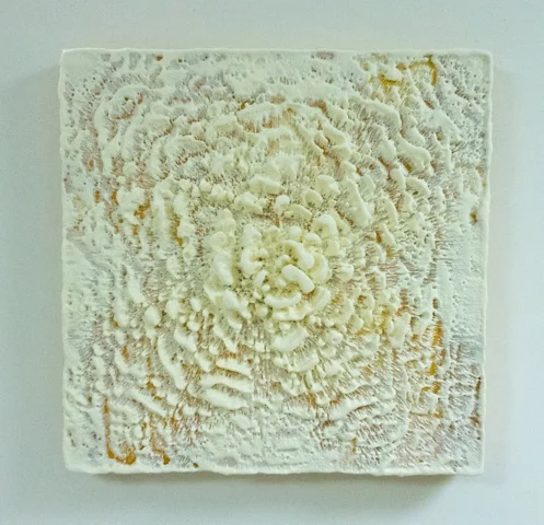 brenda rehrig