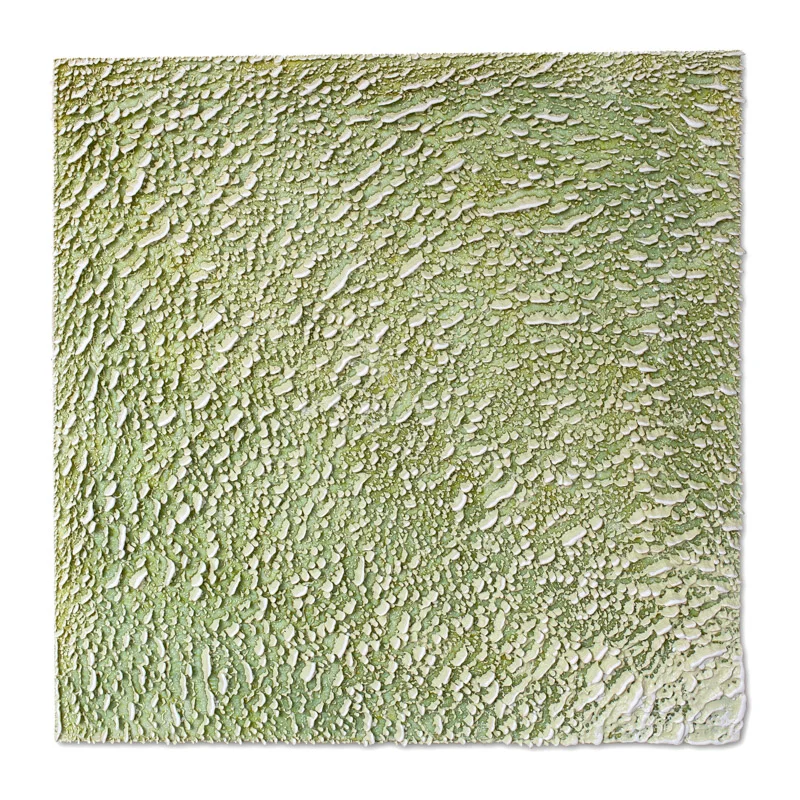 green palm ii  2019