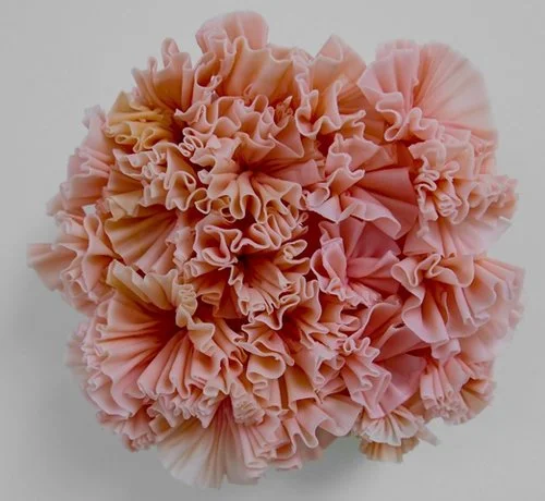small pink flower 2019