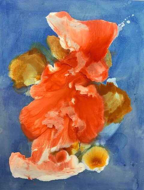bloom    2019