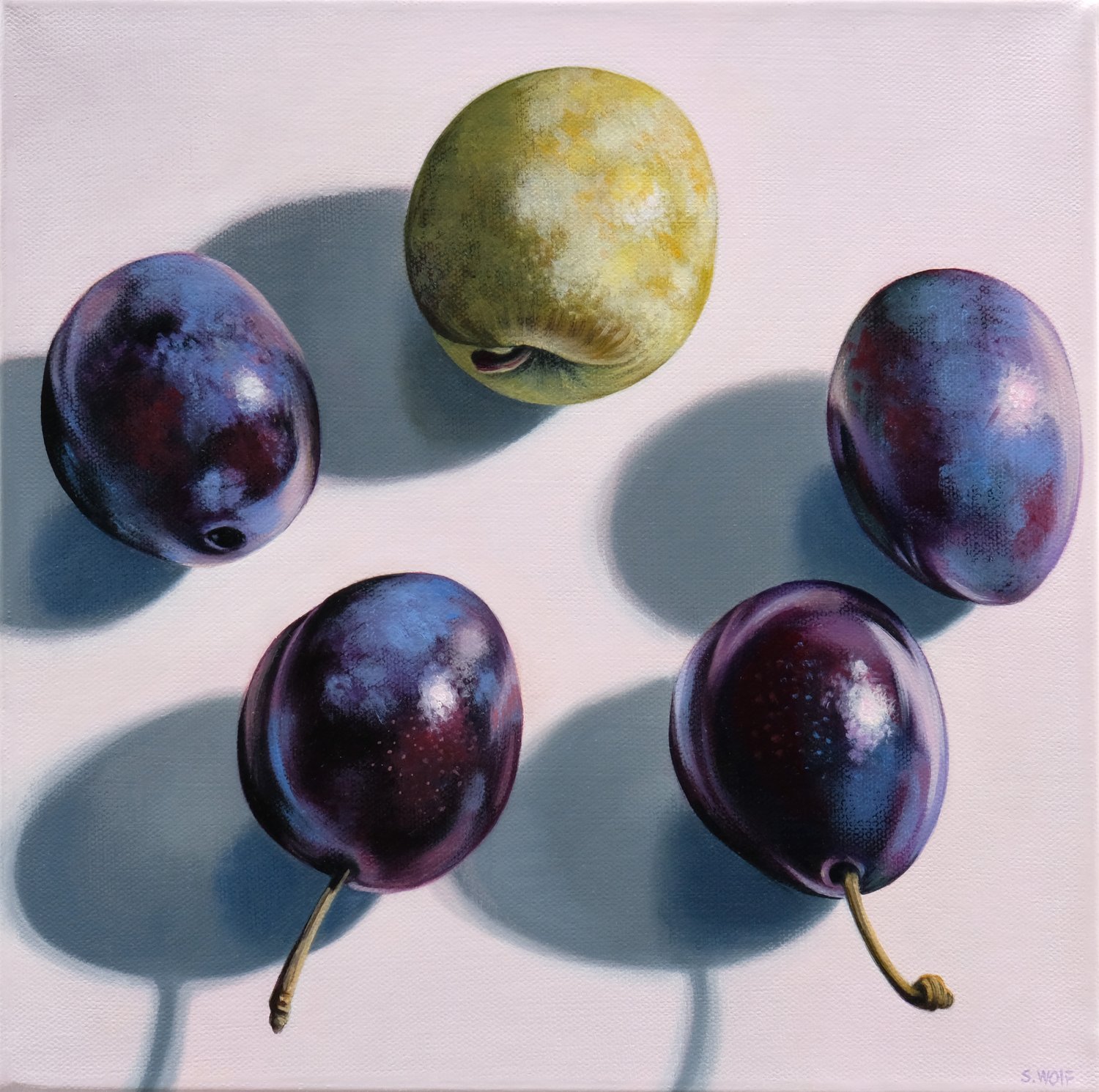 sw1090,Five+Plums,12x12,2022,oil.jpg