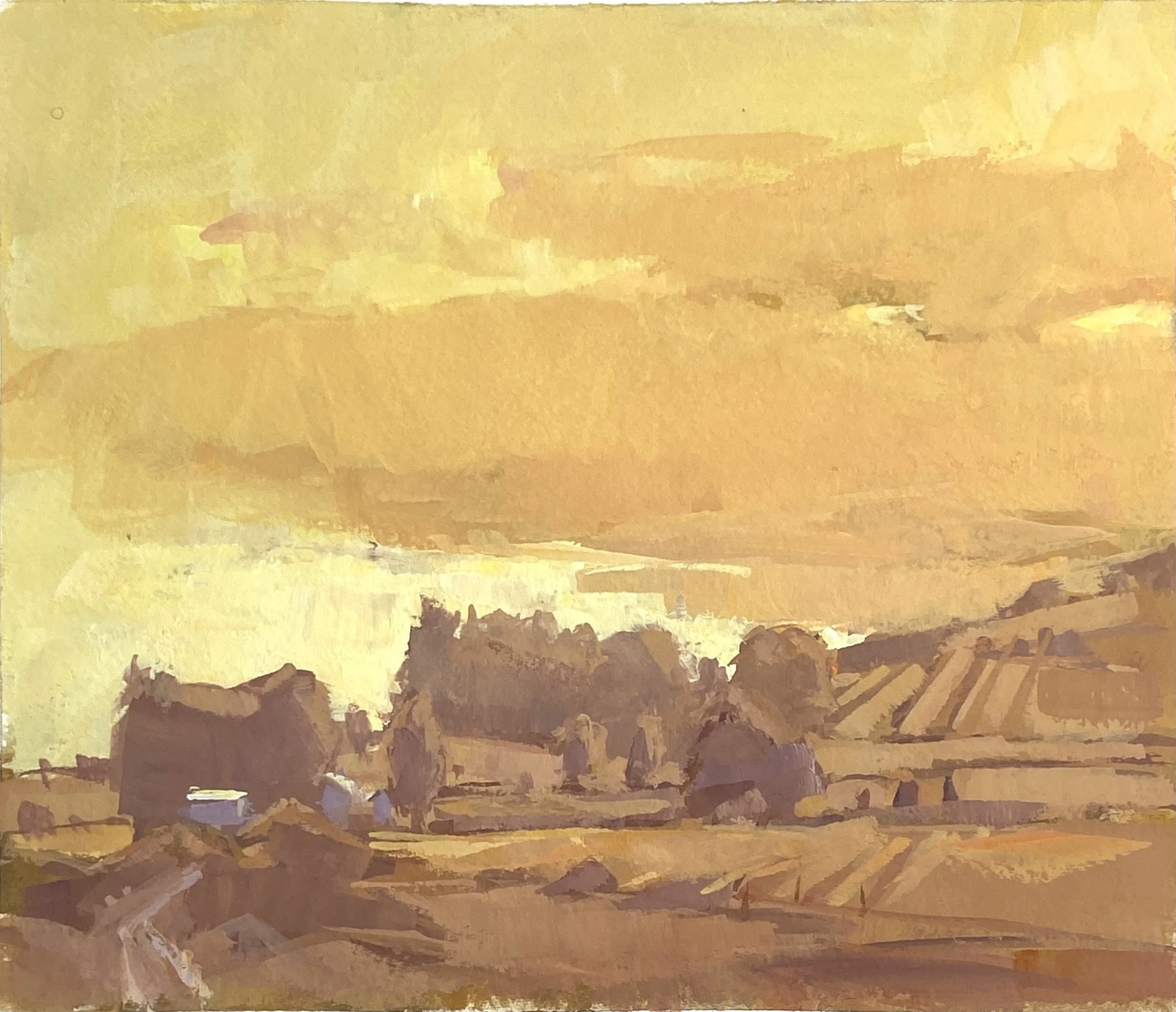 yellow evening    2024