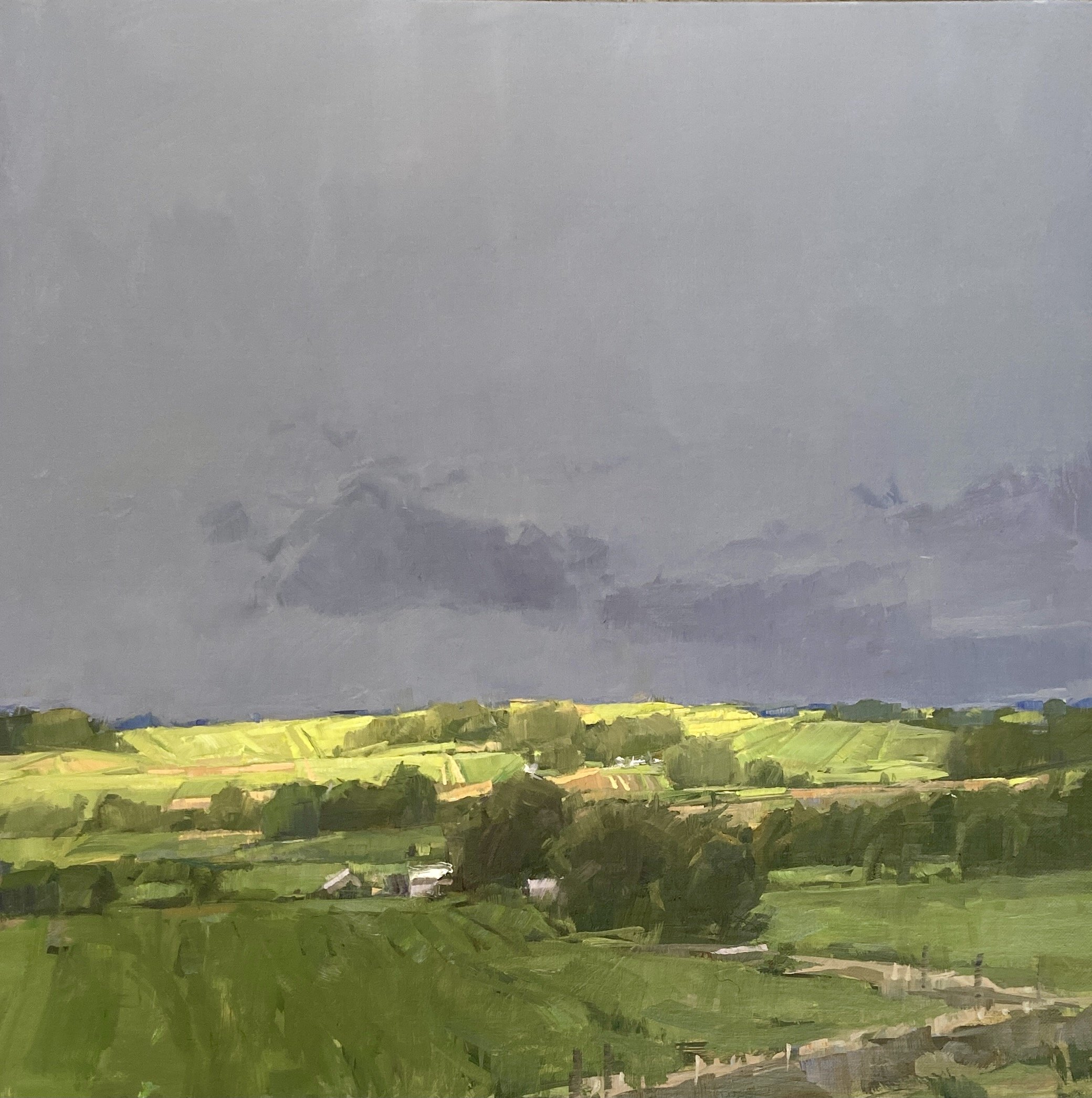 illuminated field    2024