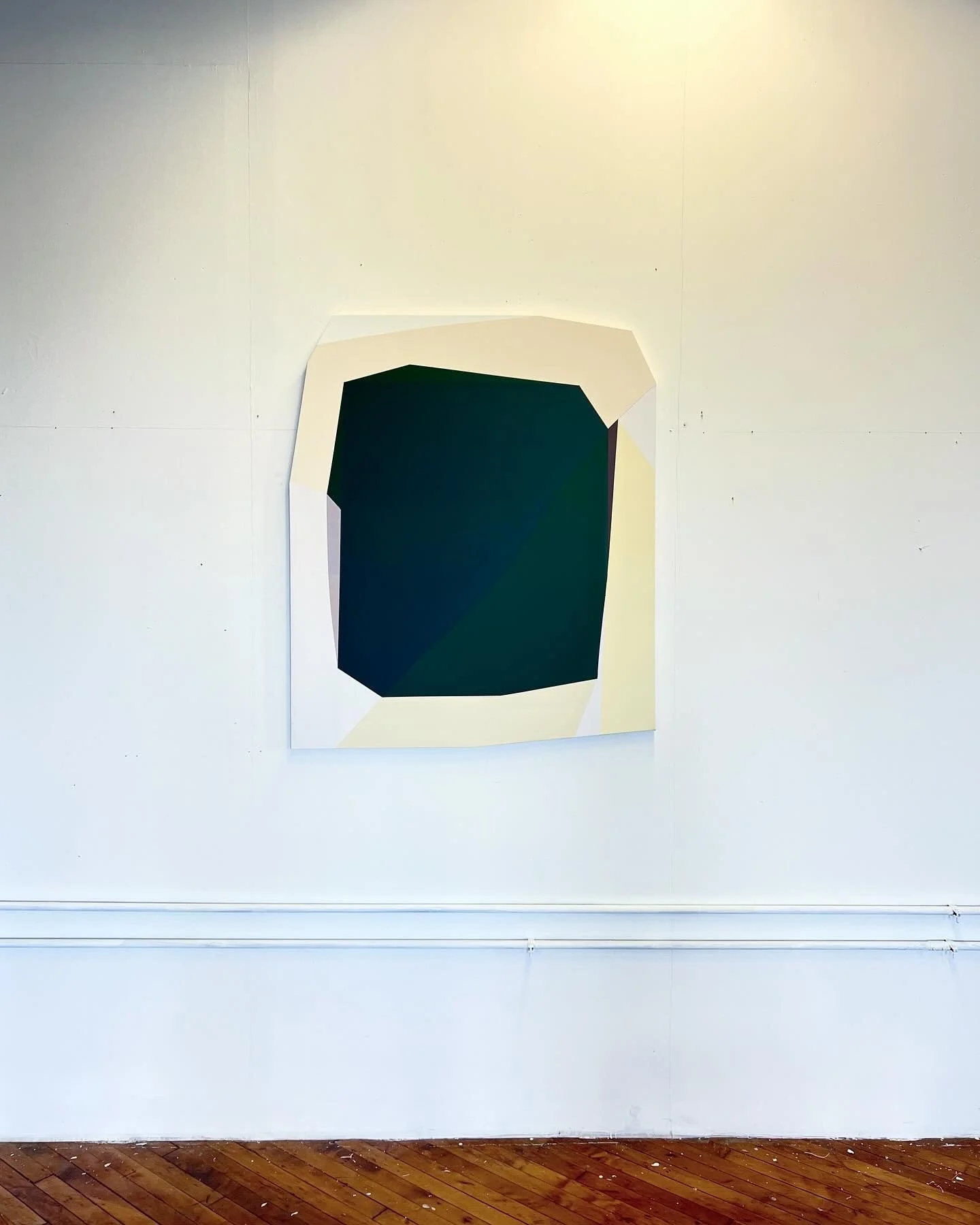 receiving a great deal of sunlight    2024