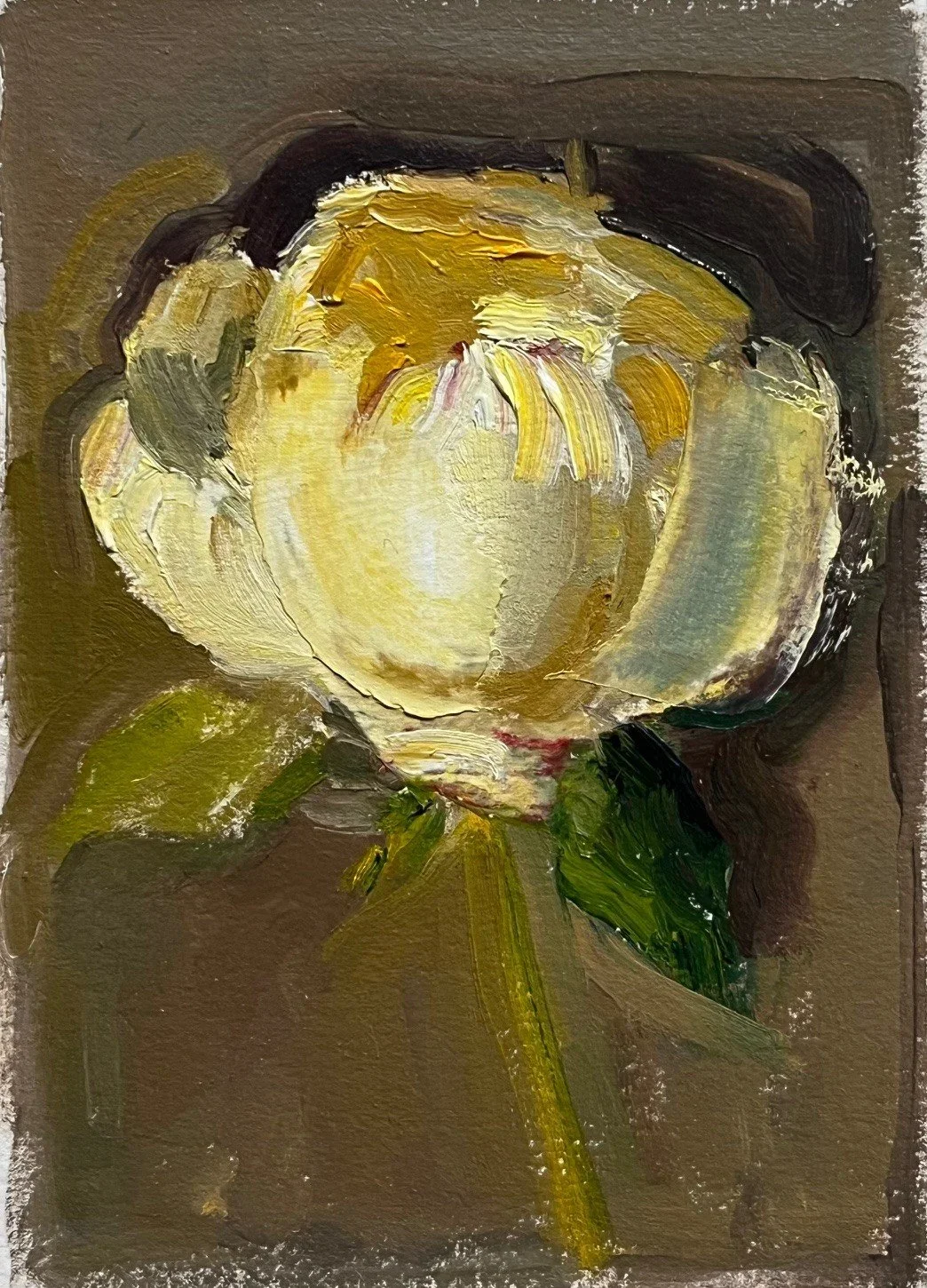 katypeonywhitepeony2small.jpg.webp