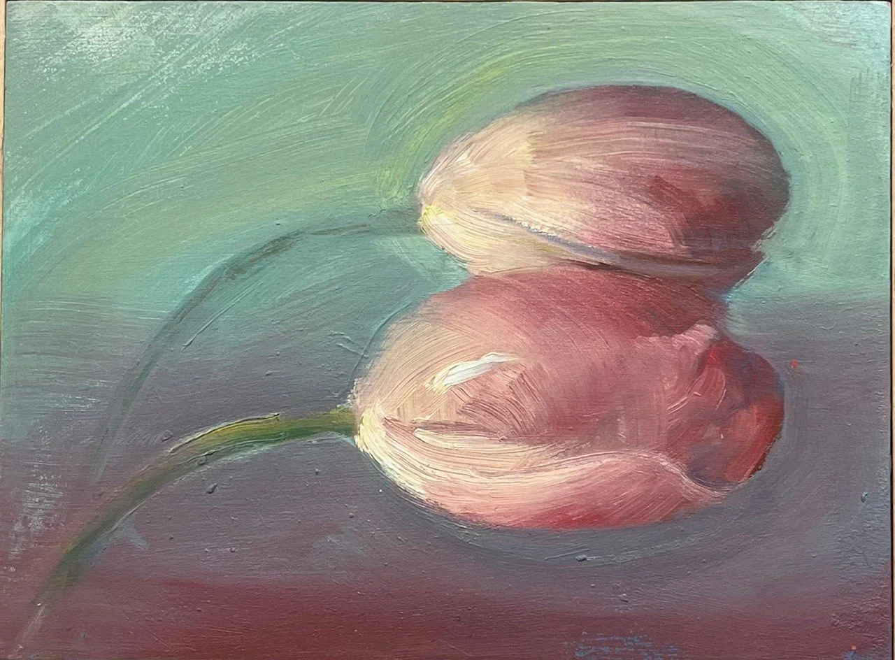 katytulips.jpg.webp
