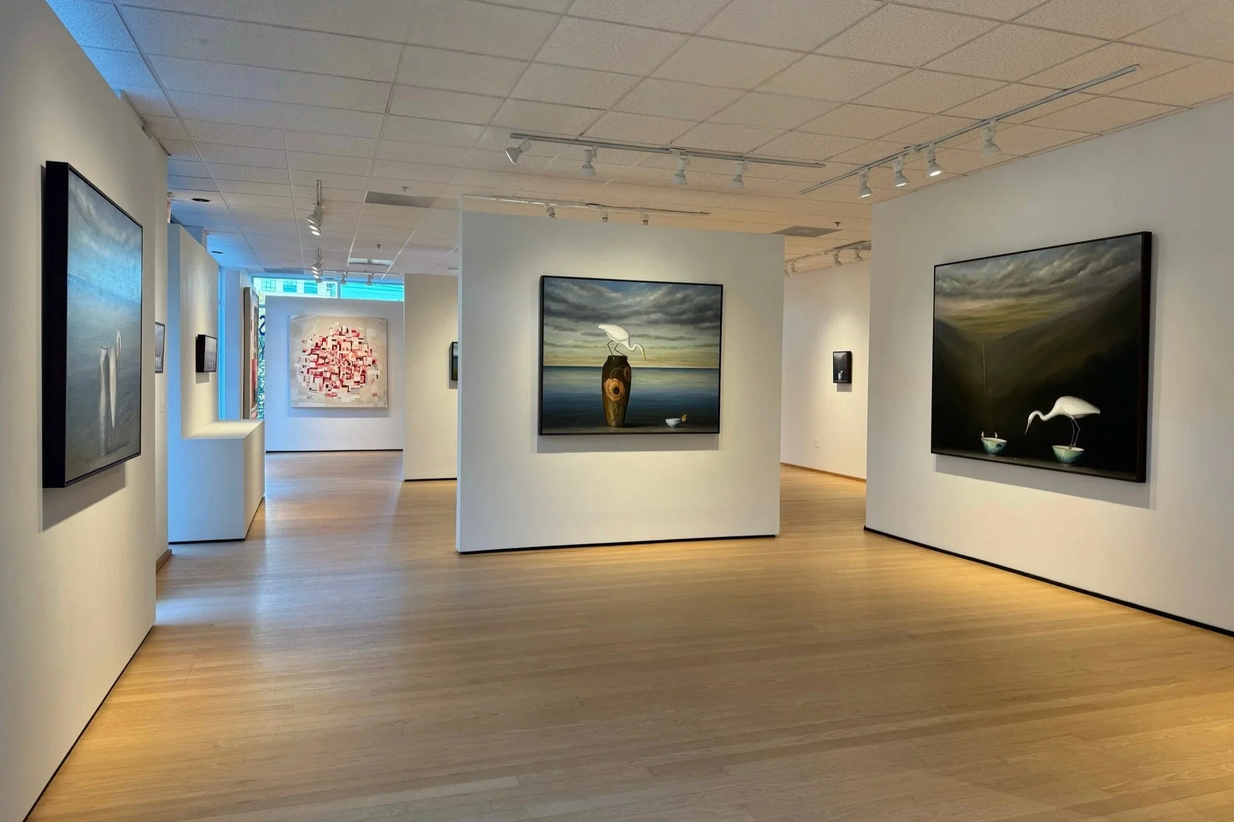 november exhibitions