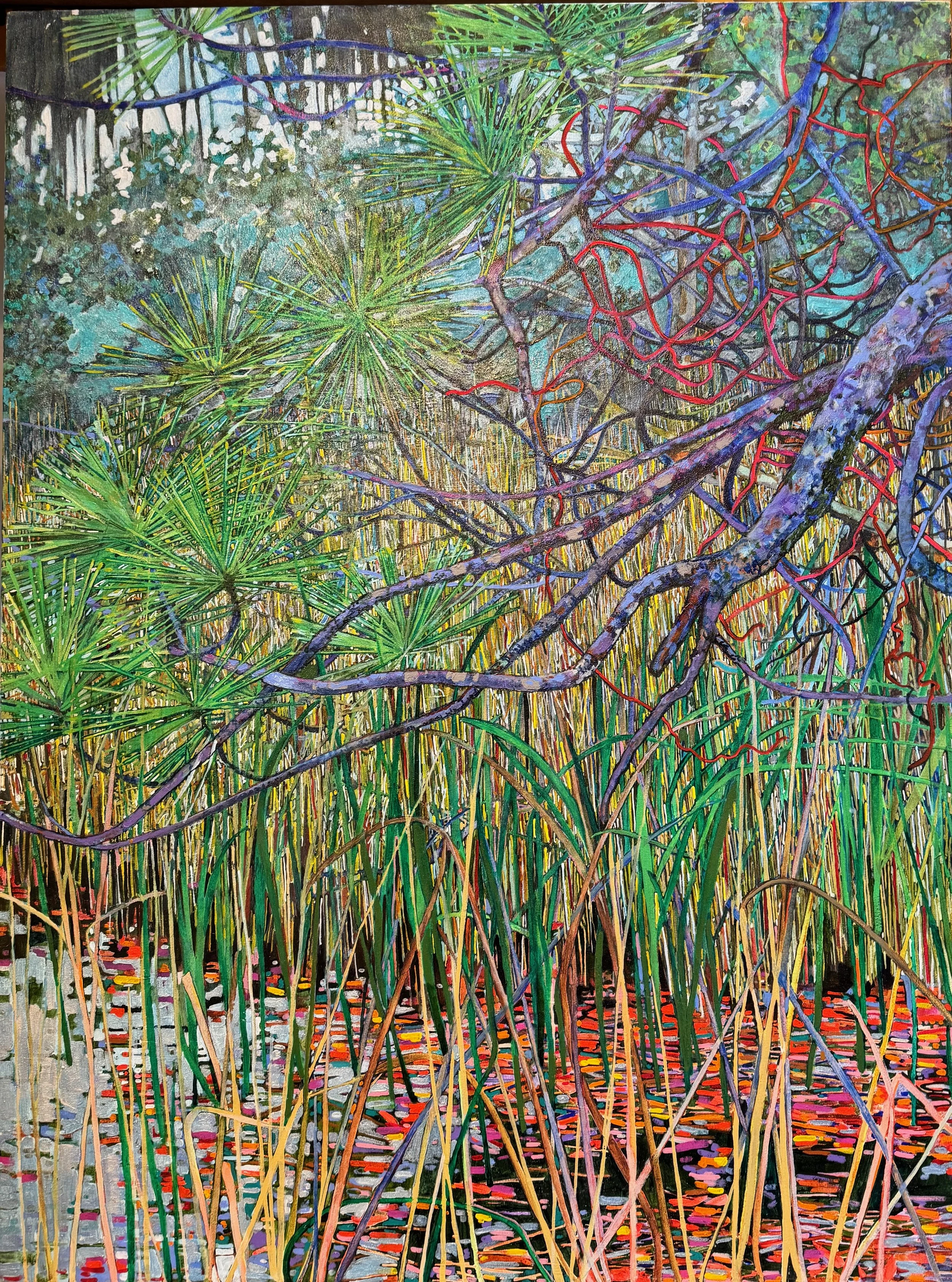 kayaking at little tybee