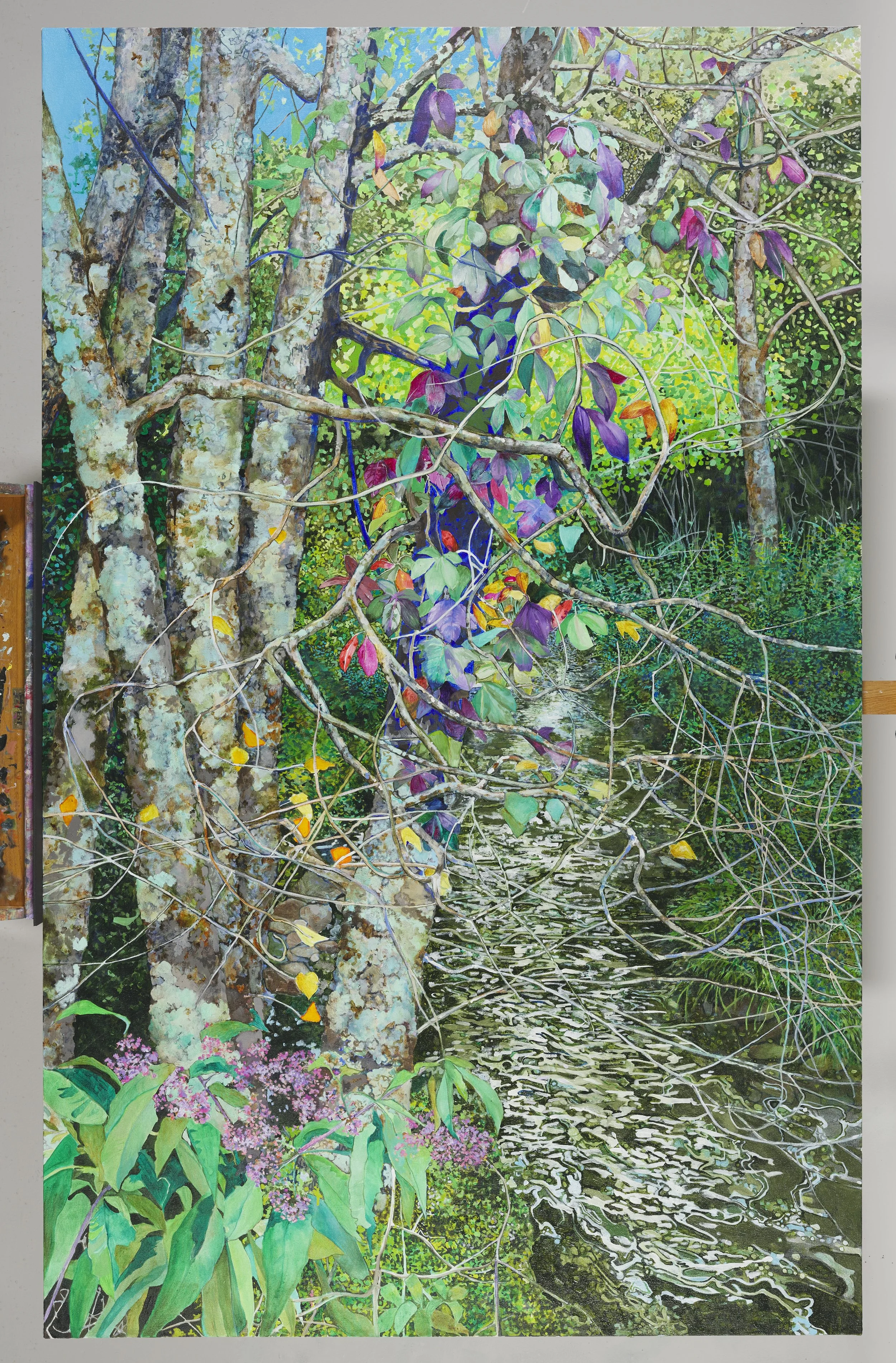 apple tree, poison ivy  