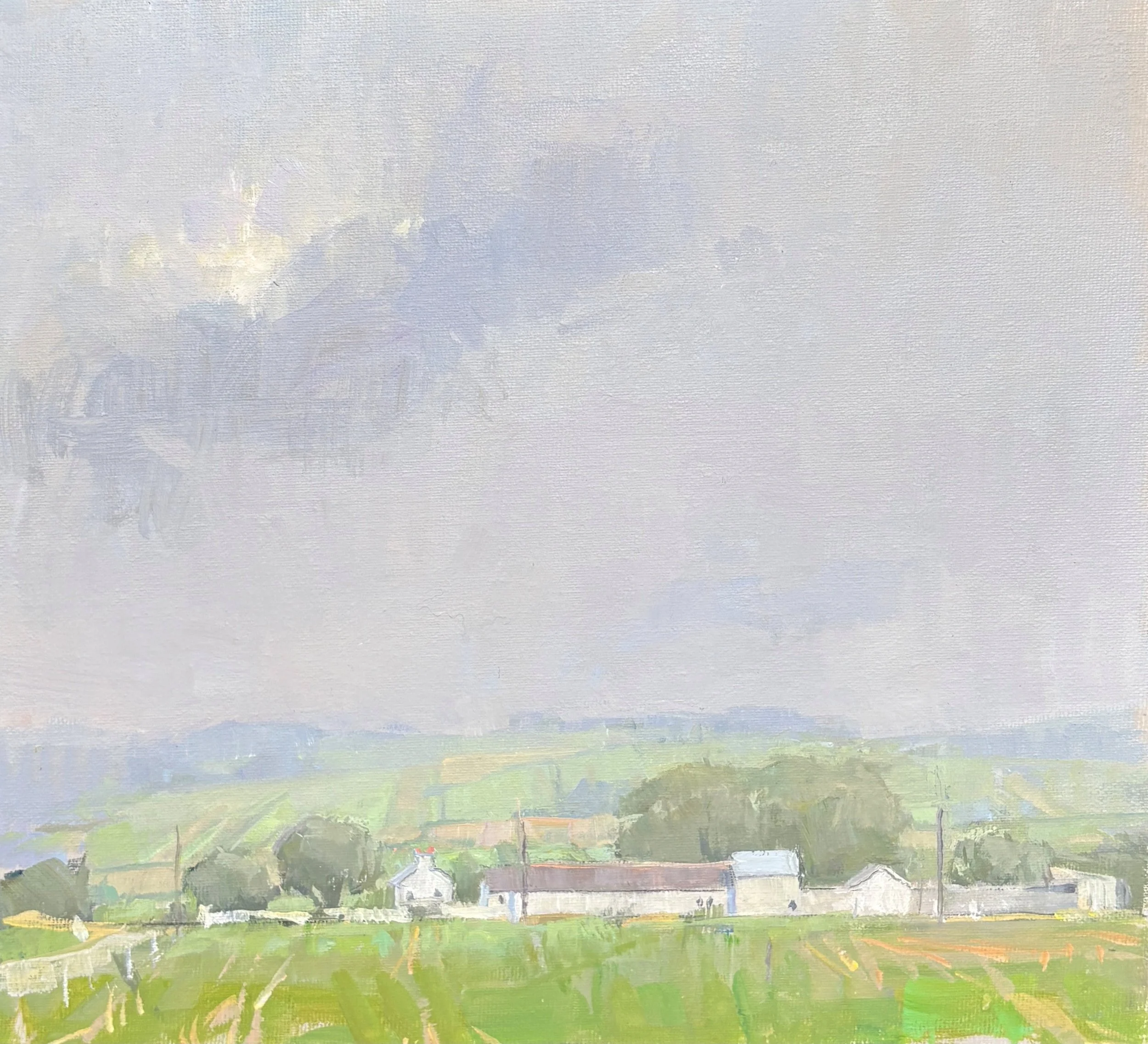 tomas farm, fog   2025