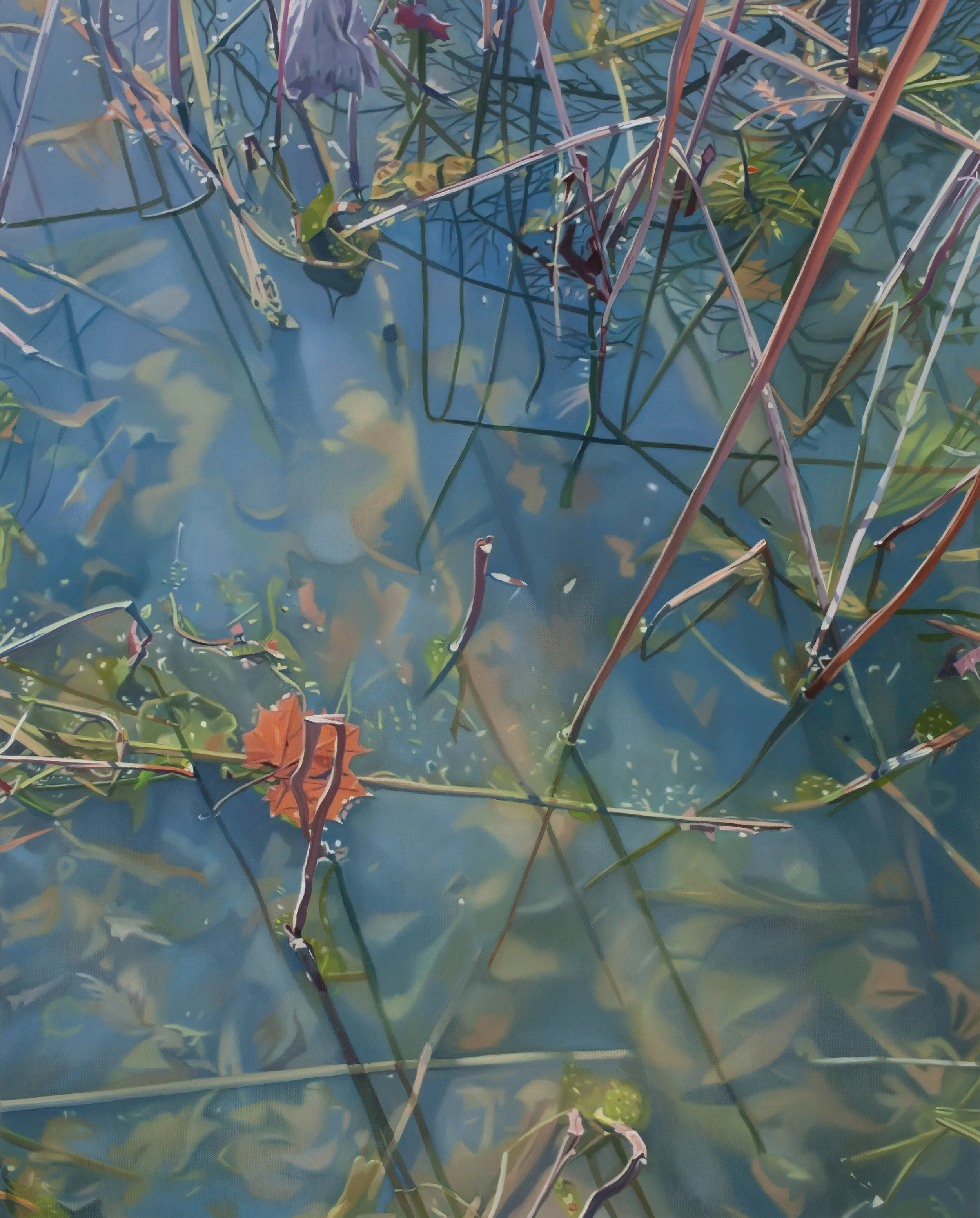 winter pond vi    2026