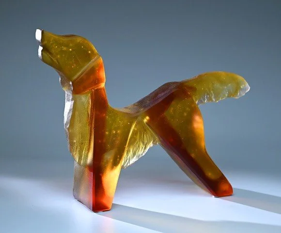 golden retriever, blondie    2026