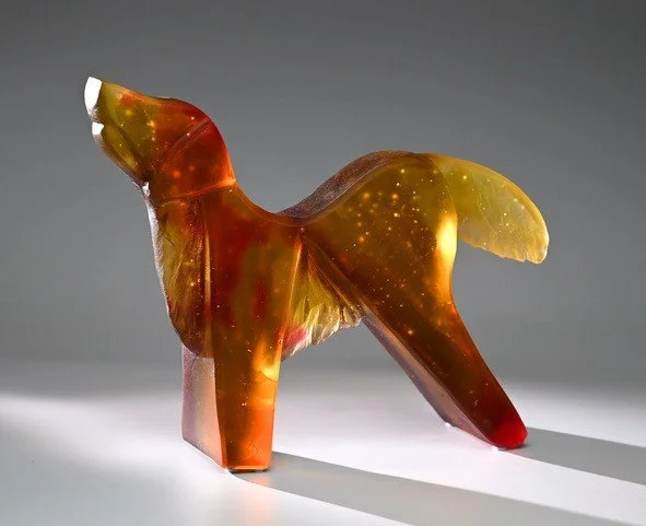 golden retriever, red ear    2026