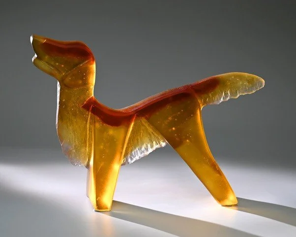 golden retriever, red nose    2026