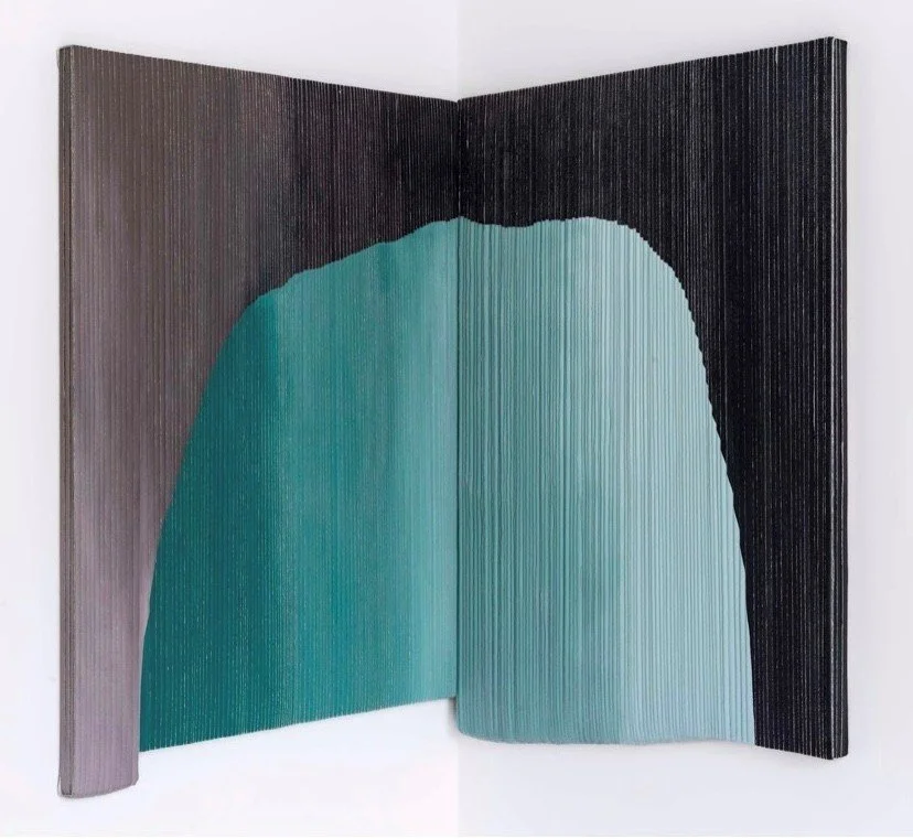 turquoise field   2023