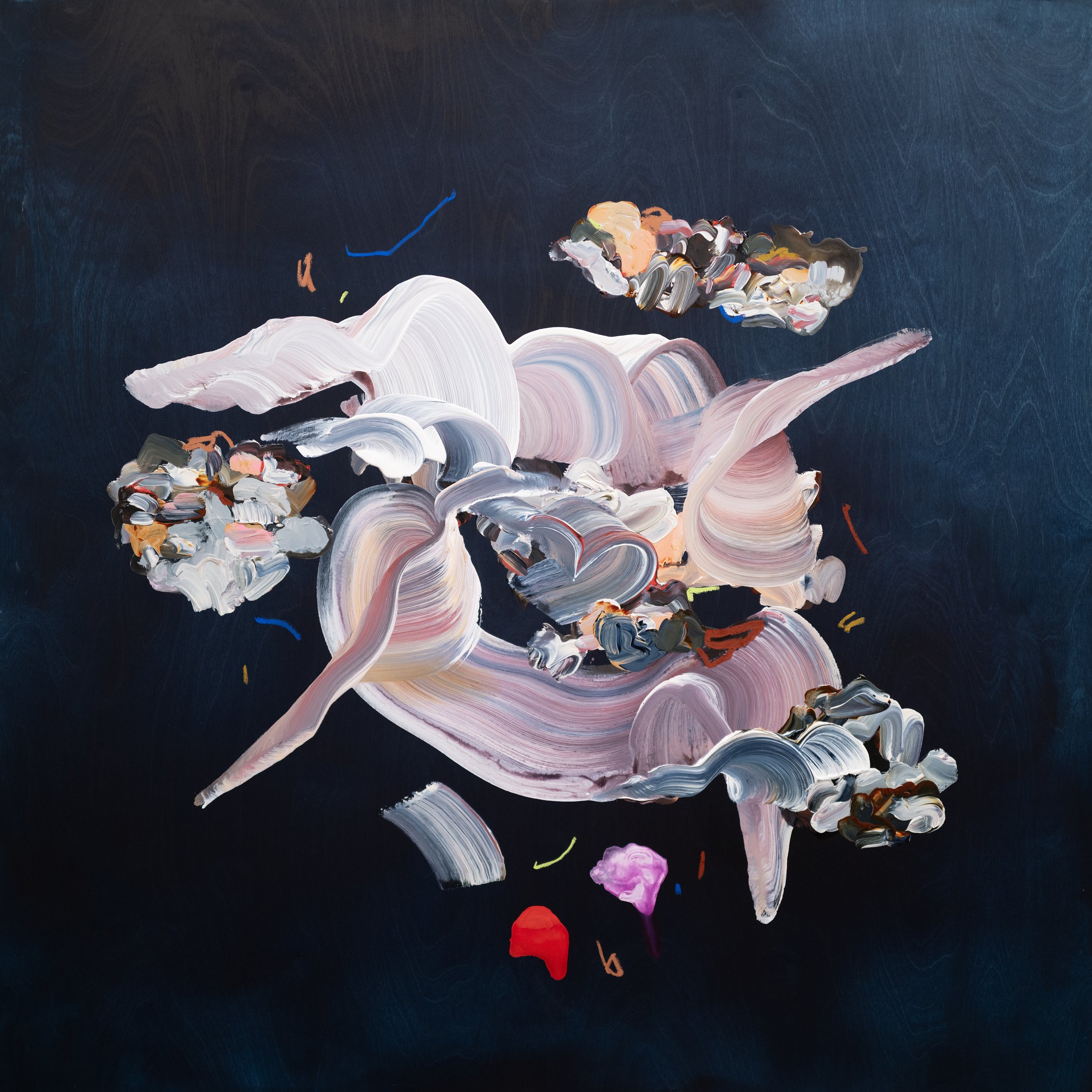 midnight bloom    2026