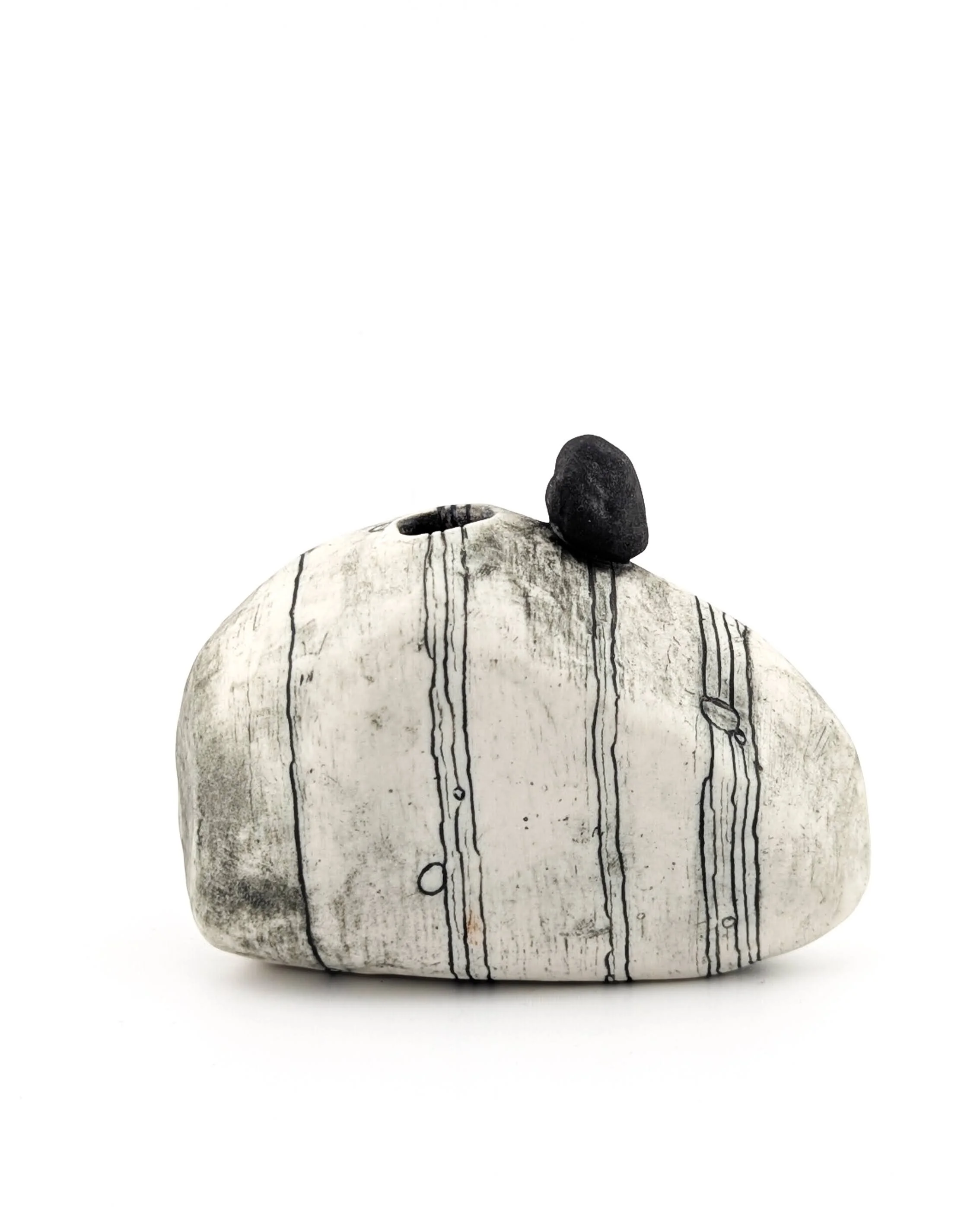 fuctional rock 16    2026