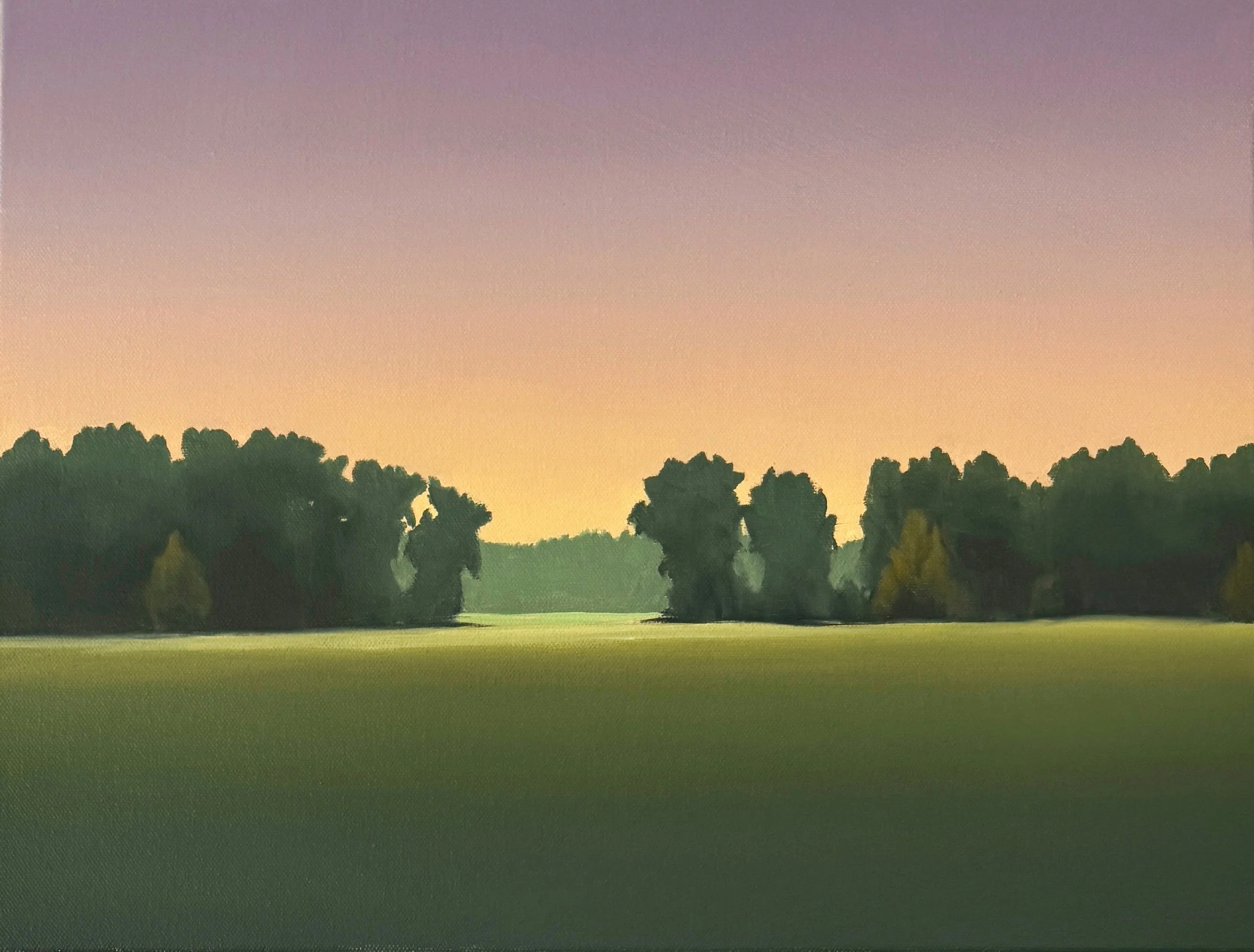 edge of the marsh   2026