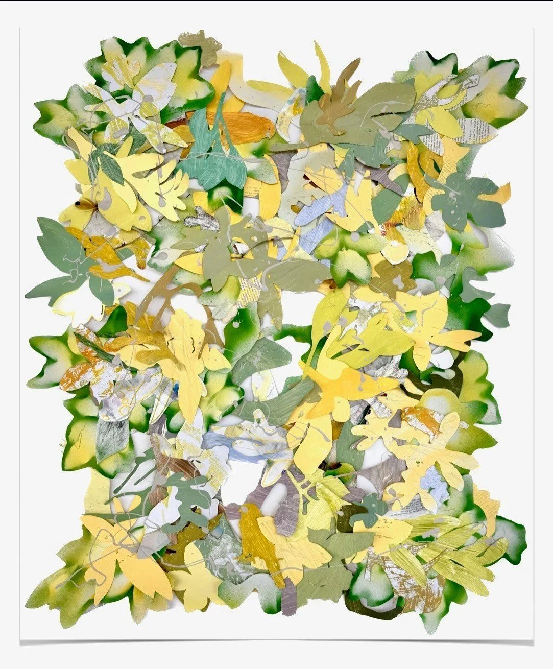 susancolorofsummeryellowarnica.jpg.webp